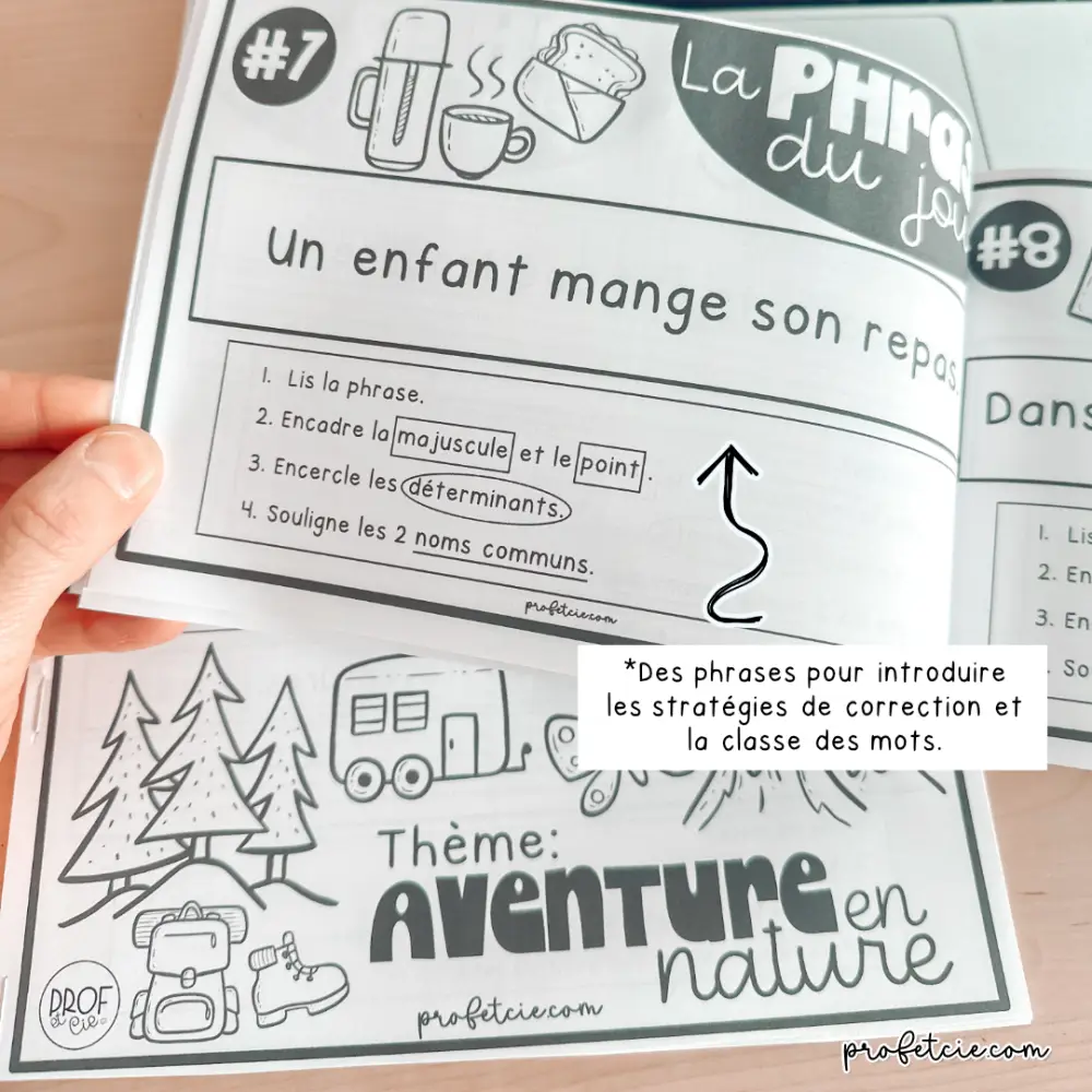 La phrase du jour (1re année) Thème: Aventure en nature – Image 5