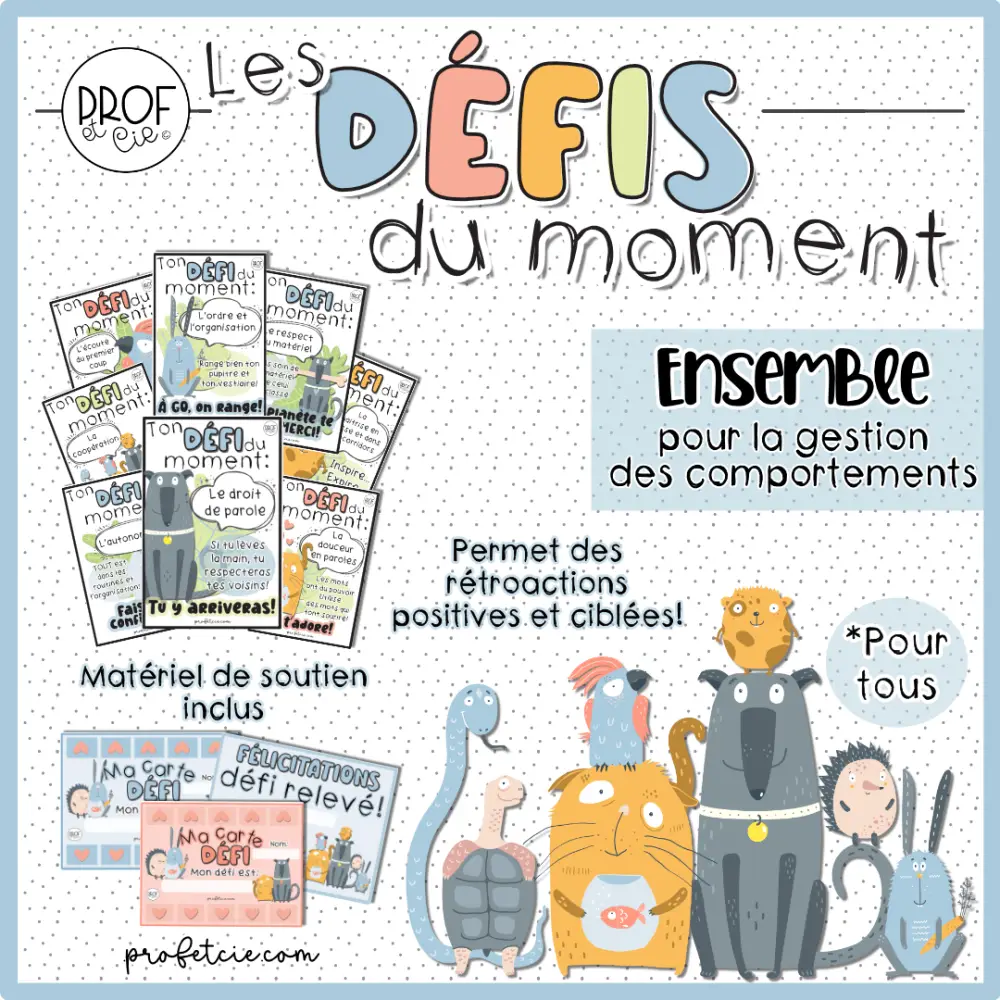 Les défis du moment et plus! (La gestion des comportements) *Pour tous – Image 2