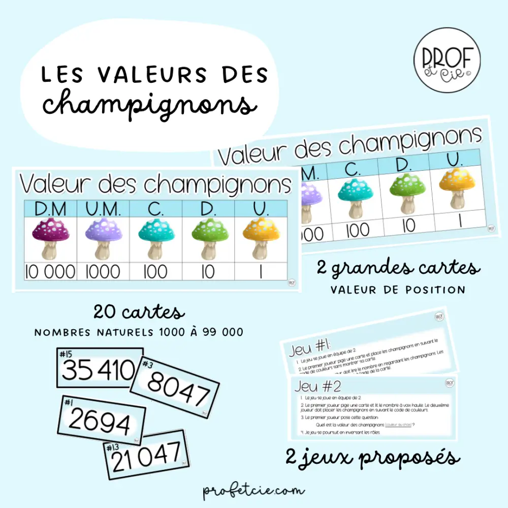 Les valeurs des champignons (2e cycle) – Image 2