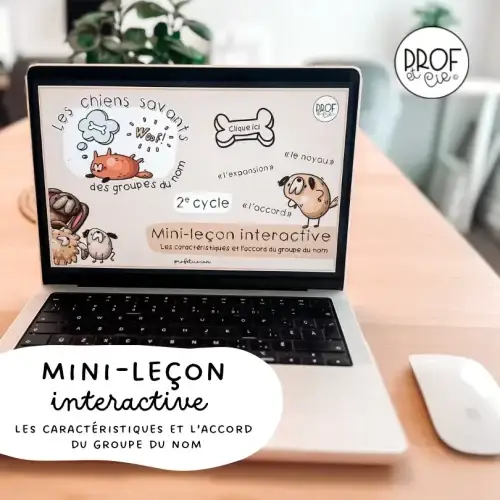 Mini - leçon interactive - 2e cycle - Prof et cie